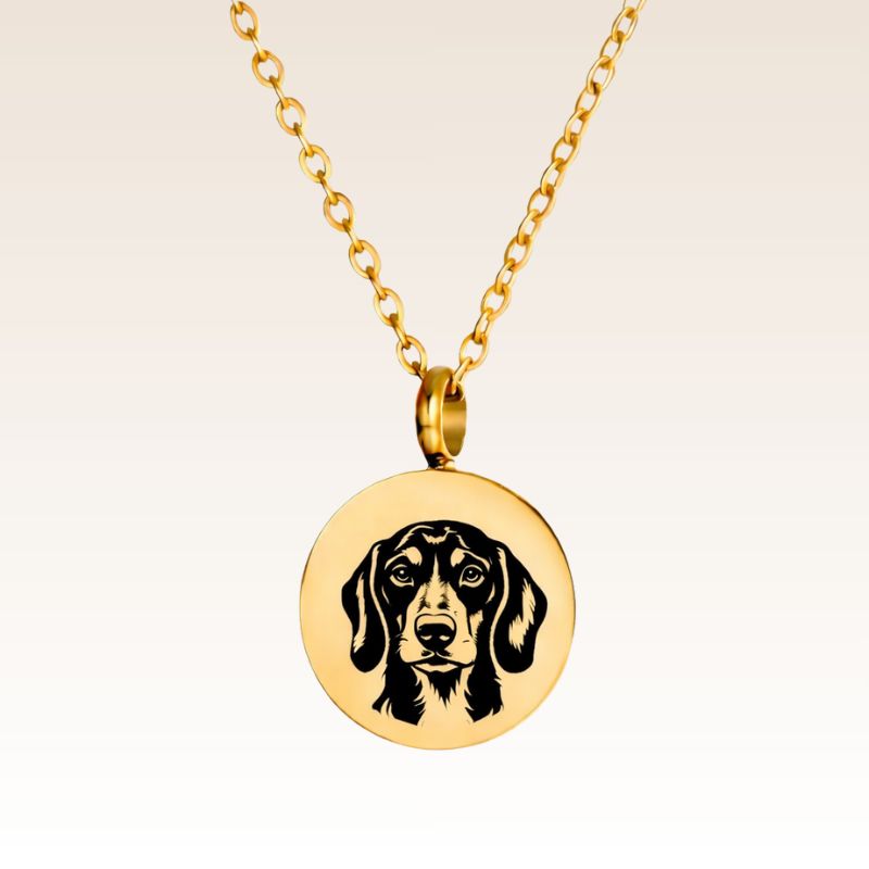 Paw Circle – Engraved Pet Necklace